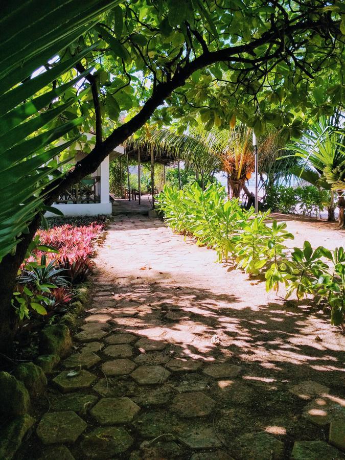 Panga Chumvi Beach Resort 马特姆维 外观 照片